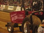 NFMS 184.jpg